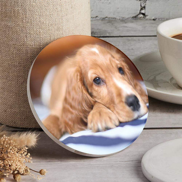 Custom Photo Coaster Round Coaster Gift for Pet Lover