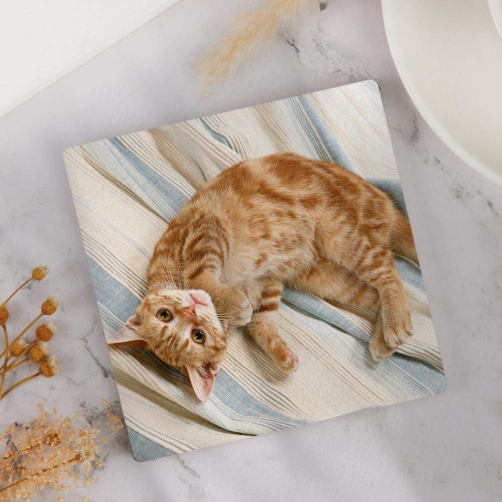 Custom Square Photo Coaster for Cat Lover