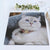 Personalized Photo Placemats Pet Cat Placemat Kitchen Accessories