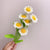 Little Daisy Crochet Flower Handmade Knitted Flower Gift for Lover - Myphotomugs