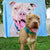 Personalized Pet Photo Blankets Custom Dog Face Blanket Gifts For Pet Lovers